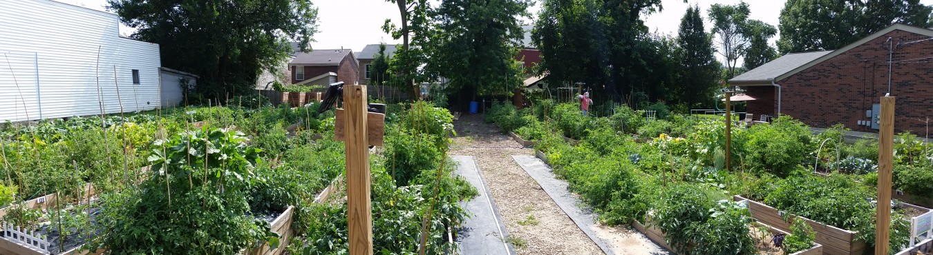 Garden2